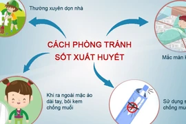 Cà Mau: Ca sốt xuất huyết tăng 200%, ngành y tế khẩn trương phòng dịch