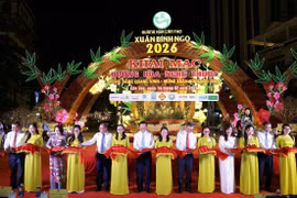 Khai mạc Đường hoa nghệ thuật Cần Thơ xuân Bính Ngọ 2026