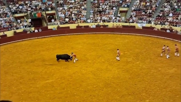 Đấu sĩ 22 tuổi tử vong sau cú húc của bò tót