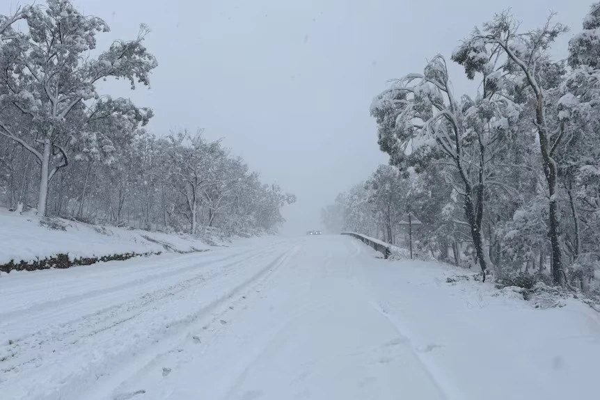 Hình ảnh tuyết rơi dày bất thường ở Australia