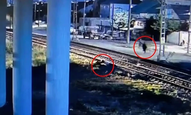 Ngã gục trước đoàn tàu đang lao tới, người đàn ông thoát chết ngoạn mục