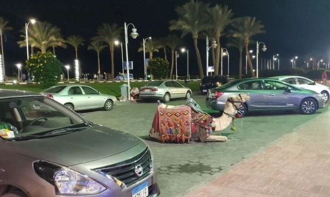 Loạt hình gây kinh ngạc về cuộc sống ở Ai Cập