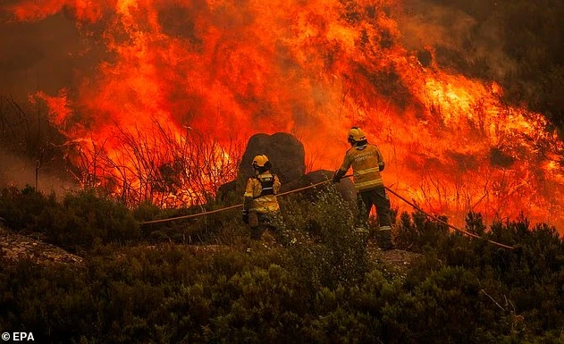 Toàn cảnh cháy rừng dữ dội ở Châu Âu giữa nắng nóng