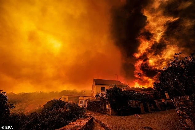 Hãi hùng cảnh cháy rừng như hỏa ngục ở Bồ Đào Nha