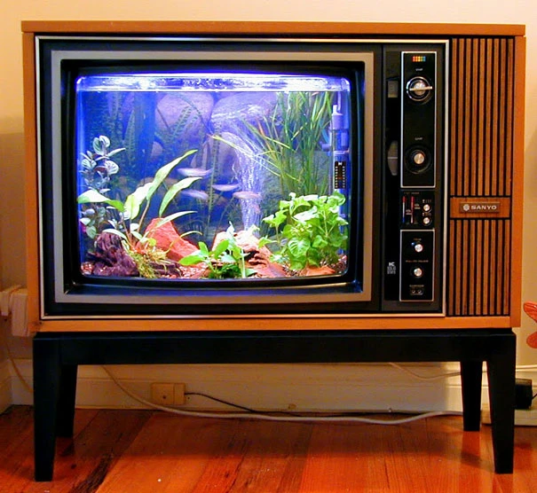 Ngắm loạt bể cá đẹp ngỡ ngàng làm từ TV phế thải