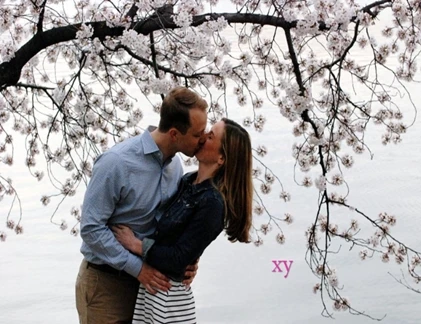 Hoa anh đào nở rộ thu hút các cặp tình nhân