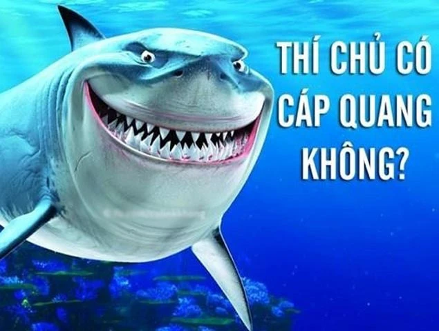 Ảnh chế cá mập cắn đứt cáp quang cười vỡ bụng