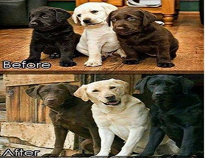 Ảnh cười Facebook: Ngày ấy và bây giờ