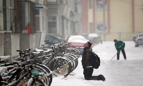 10 vụ quỳ xin xỏ người yêu khiến dân mạng “nhức mắt” 