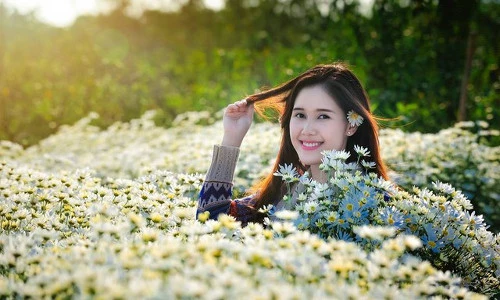 Những loài hoa hút hồn thiếu nữ Hà thành mê chụp ảnh