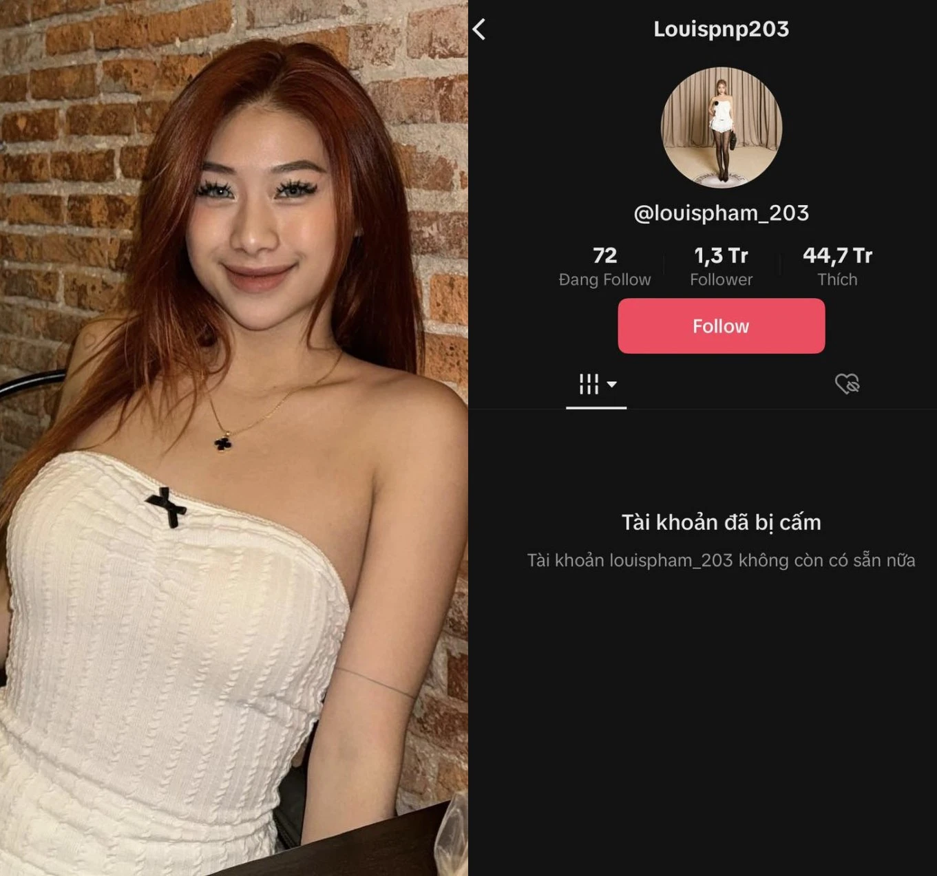 Sau phốt tranh vẽ phản cảm, kênh Tiktok của Louis Phạm “bay màu“