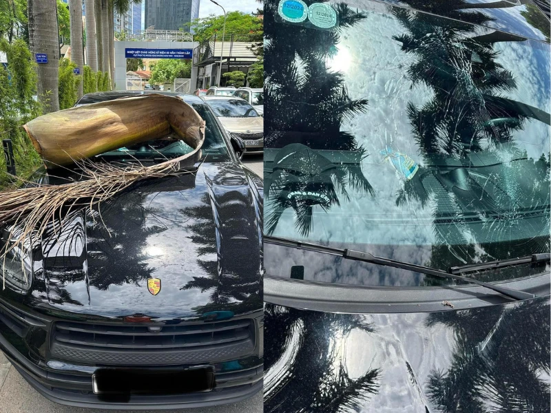 Mo cau oan nghiệt khiến chủ xế hộp tiền tỉ khóc ròng