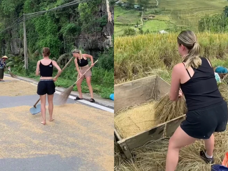 Khách Tây du lịch gặp bà con thu thóc chạy mưa và cái kết