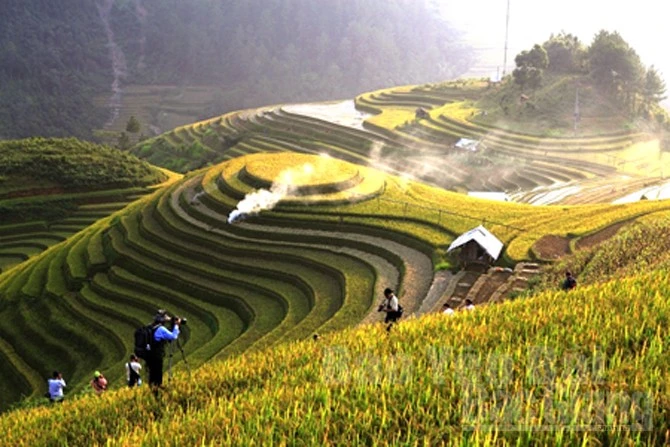 Ruộng bậc thang Mù Cang Chải đẹp mê hồn, giới trẻ “hò” nhau lên đường