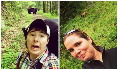 Trào lưu mạo hiểm “tự sướng” cùng gấu đen hoang dã