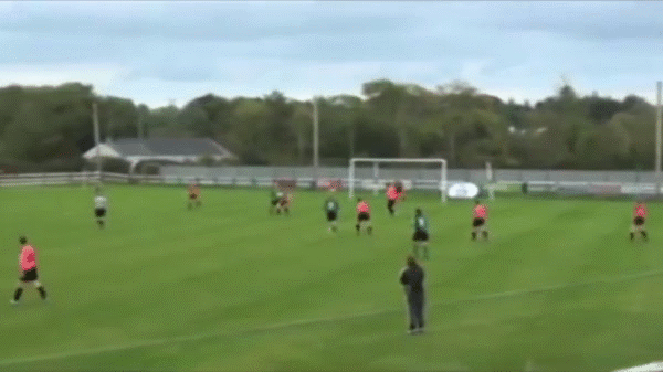7. Bàn thắng của Stephanie Roche (Peamount United) trong trận với Wexford Youths tại giải vô địch Ireland.