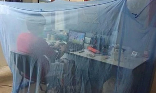 Ảnh cười Facebook: Muỗi cũng phải "phát khóc"