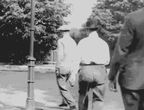 Cây cột thần kỳ.