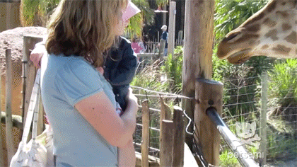 Tôi có gì để ngắm đâu!