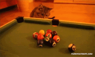 Thế mà cậu chủ bảo chơi bi-a khó lắm.