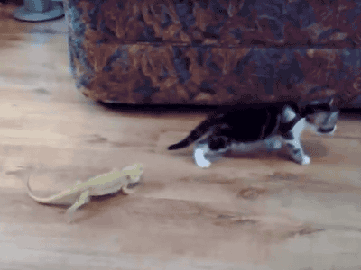 Chú đừng có trêu anh.