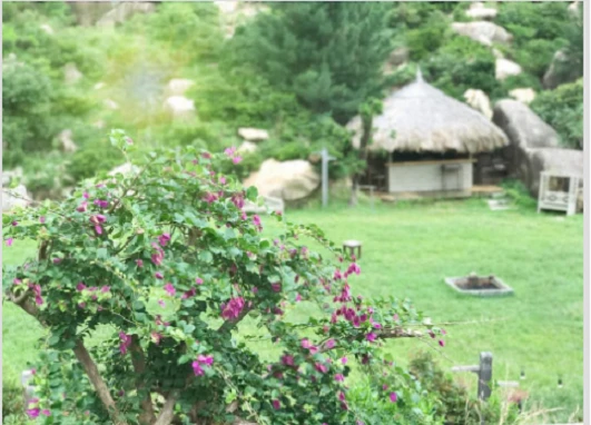 Ngắm ảnh chụp xóa phông tuyệt đẹp bằng iPhone 7 Plus