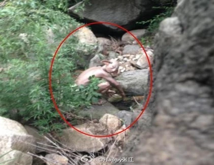 Quái vật xuất hiện tại Bắc Kinh gây xôn xao dân mạng