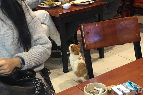 Bất ngờ với "gương mặt vàng trong làng ăn xin” cực yêu vì hành động này