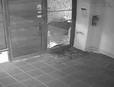 Ôi không phải lối này.