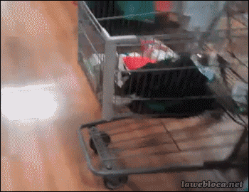 Mẹ ơi con chưa muốn về.