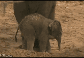 Đi ra chỗ khác chơi đi cháu.