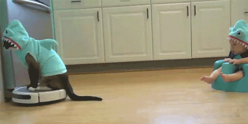 Cậu chủ nhìn đây mà học tập.