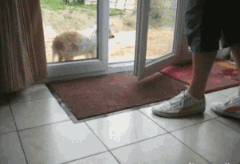Lau sạch chân mới vào nhà.