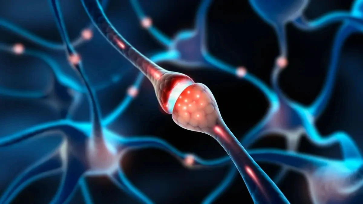 Camera nano Trung Quốc ghi lại khoảnh khắc “nụ hôn thần kinh”