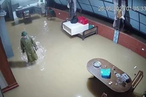 Hà Tĩnh đón mưa dữ dội, bất thường, có nơi trên 300mm