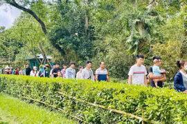 Về Kim Liên trong ngày tháng Năm – triệu trái tim hướng về Bác Hồ