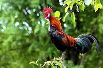 Tuần mới 8/9 đến 14/9, 3 con giáp trúng lộc trời ban