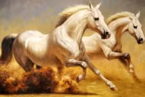 Chúc mừng 3 con giáp hốt trọn lộc Trời, giàu vô đối từ 6/6