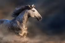 Tháng 8 hanh thông, 3 con giáp chăm chỉ bỗng chốc có tiền tỷ