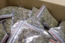 Công an Quảng Ninh triệt phá đường dây ma túy đặc biệt lớn