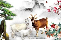 Top 3 con giáp quyết đoán, tình tiền đỏ chót từ đầu năm 2026