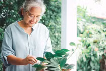 Bài học tuổi 65, càng mong con báo hiếu, càng dễ thất vọng 