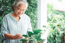 Bài học tuổi 65, càng mong con báo hiếu, càng dễ thất vọng 