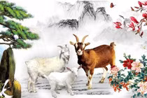 'Gồng gánh' quá tải, 3 con giáp dễ mất lộc trước 2026