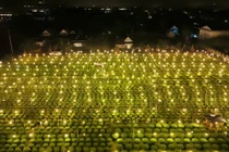 1 làng ở Quảng Ngãi thắp cả triệu bóng đèn, biến 'đêm thành ngày'