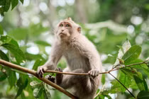  Gió đổi chiều, 3 con giáp sự nghiệp thăng hoa nhất cuối tháng 8