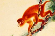 Đại vận tháng 6/2025, 3 tuổi cực may... tình tiền viên mãn