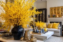 6 cây cảnh chứa 'vàng', trưng trong nhà tiền về nườm nượp