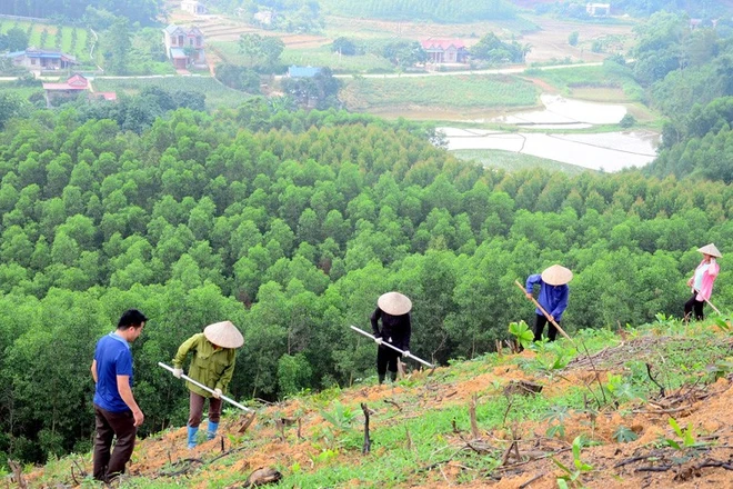 Triển khai kế hoạch chủ động ứng phó với biến đổi khí hậu