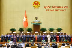 6 Phó thủ tướng, 17 Bộ trưởng, thành viên Chính phủ nhiệm kỳ 2026 - 2031